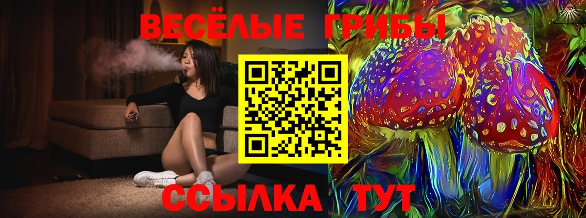 Чебоксары  Псилоцибиновые грибы Cubensis  Вход с VPN 