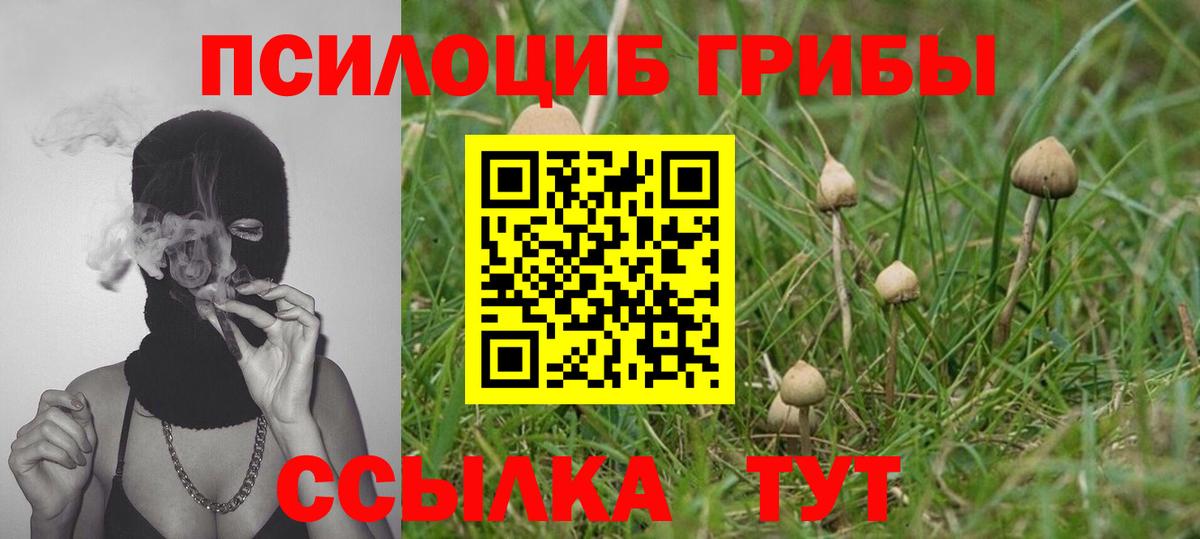 Галлюциногенные грибы ЛСД Чебоксары
